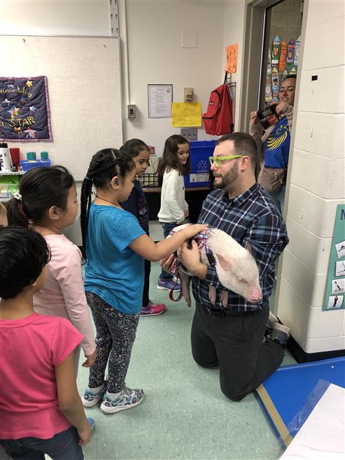 Petting Titus the Pig 